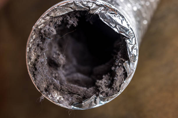 Best Residential Air Duct Cleaning  in Hancock, MI